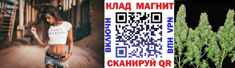 Продажа наркотиков Салехард Галлюциногенные грибы  ГЕРОИН  ГАШ  АМФЕТАМИН  OMG ССЫЛКА  КОКАИН  МЕФ  Канабис 