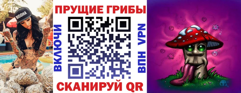 Псилоцибиновые грибы прущие грибы  Салехард 