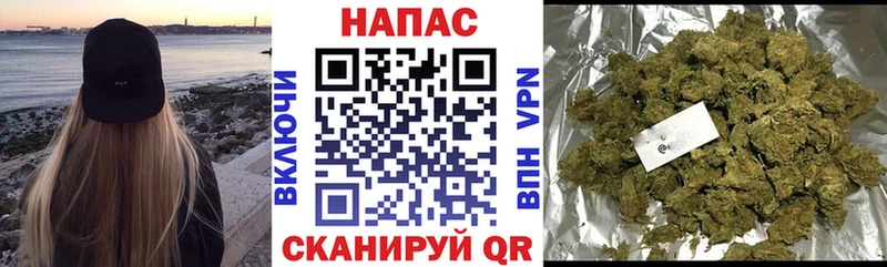 Конопля VHQ  Салехард 